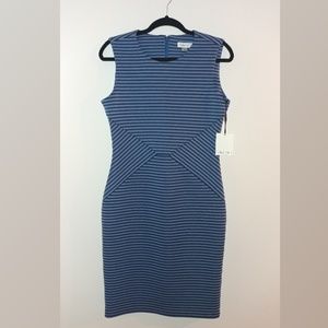 Calvin Klein NWT blue striped dress